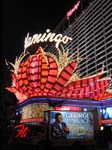 Vegas245